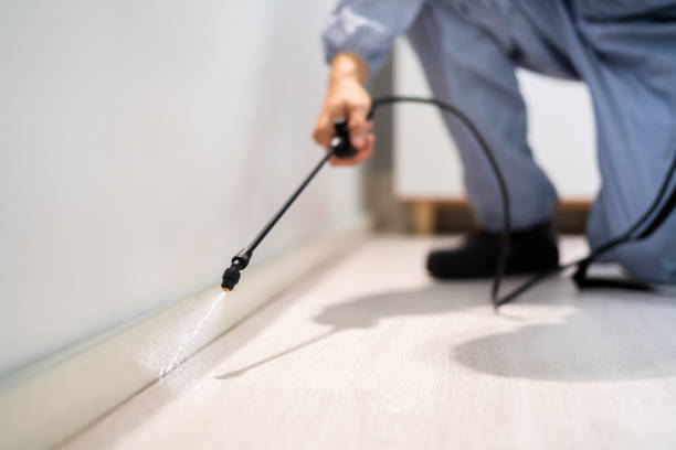 Rodent Entry Point Assessment in Nokesville