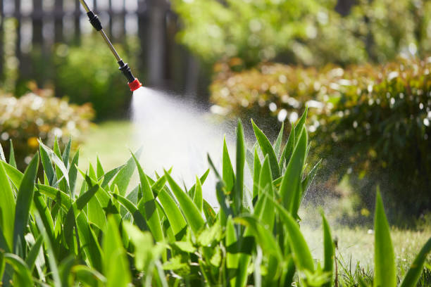 Tamper-Resistant Bait Stations for Rodents in Nokesville