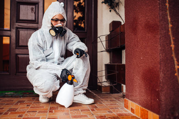 Attic and Crawl Space Rodent Treatment in Nokesville