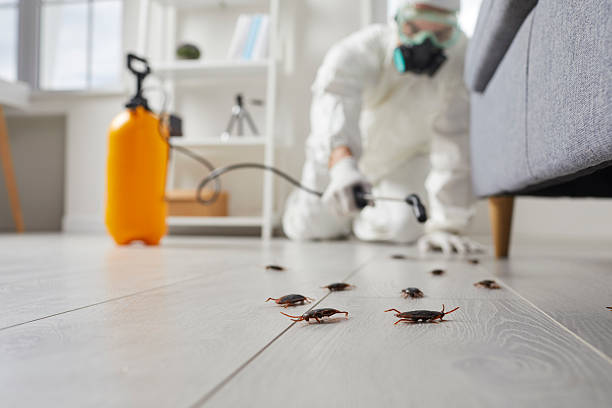 Commercial Rodent Management in Nokesville